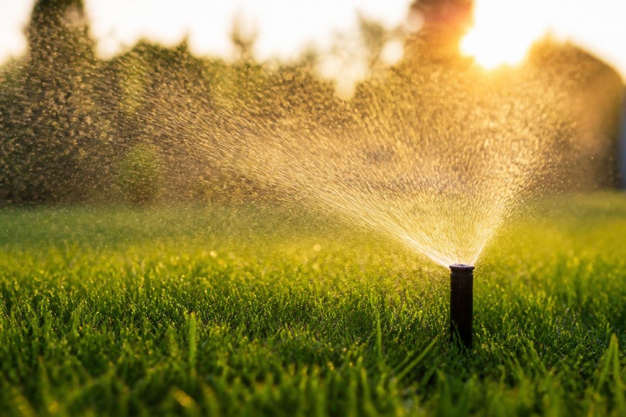 Irrigation system watering a lush lawn at sunrise